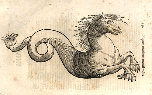 Ulisse Aldrovandi, Monstrorum historia  