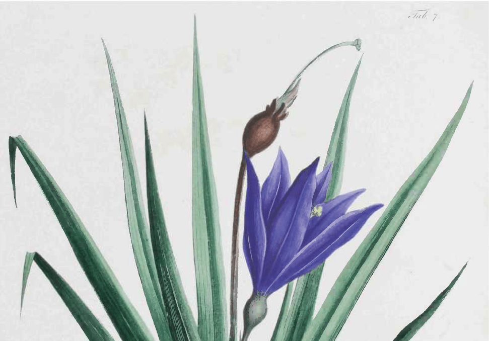 Screenshot 2013-10-16 20.21.53